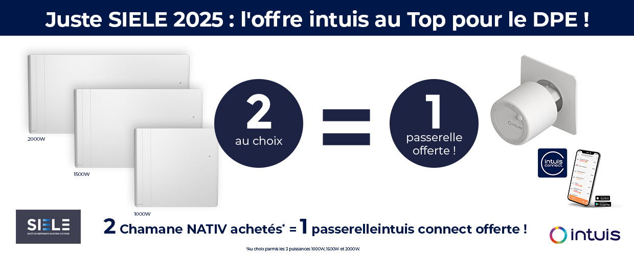 2025-11-intuis