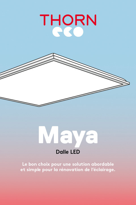 2025-11-thorn-mobile