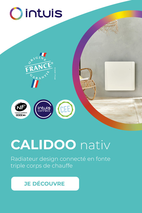 2026-02-intuis-mobile